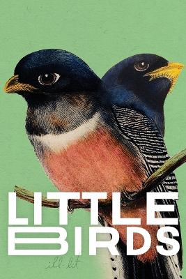 Book cover for Little Birds (green)