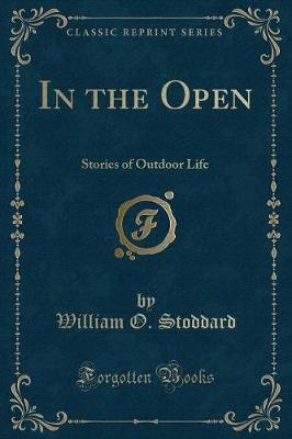 Book cover for In the Open