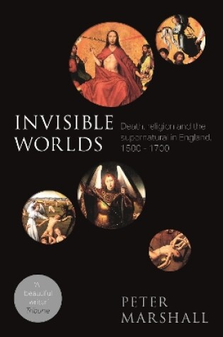 Cover of Invisible Worlds