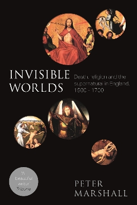 Book cover for Invisible Worlds