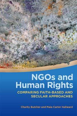 Cover of NGOs and Human Rights