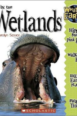 Cover of Life in the Wetlands