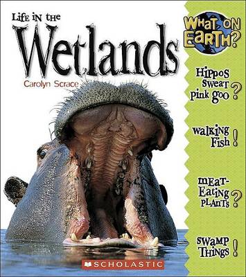 Book cover for Life in the Wetlands