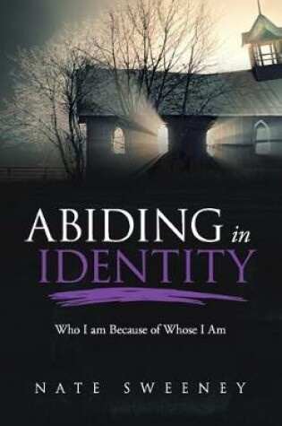 Cover of Abiding in Identity