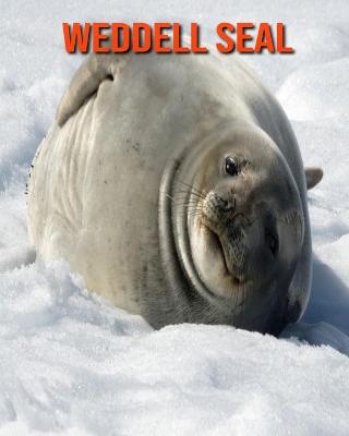 Book cover for Weddell Seal