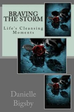 Cover of Braving the Storm