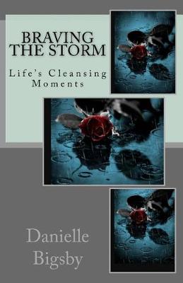 Book cover for Braving the Storm