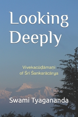 Book cover for Looking Deeply