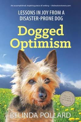 Book cover for Dogged Optimism