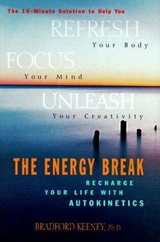 Cover of The Energy Break