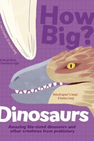 Cover of How Big? Dinosaurs
