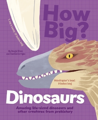 Book cover for How Big? Dinosaurs