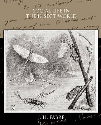 Book cover for Social Life in the Insect World