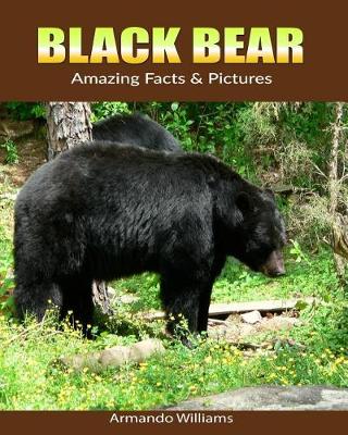 Book cover for Black Bear