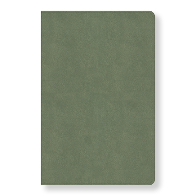 Book cover for CSB Every Day with Jesus Daily Bible, Sage LeatherTouch