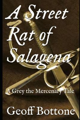 Book cover for A Street Rat of Salagena