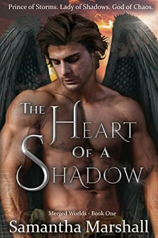 Cover of The Heart of a Shadow