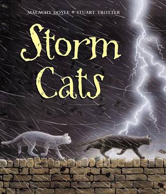 Book cover for Storm Cats