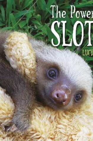 Cover of The Power of Sloth