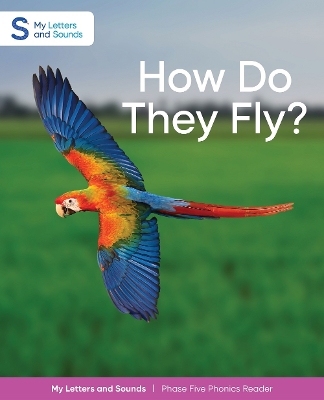 Book cover for How Do They Fly?