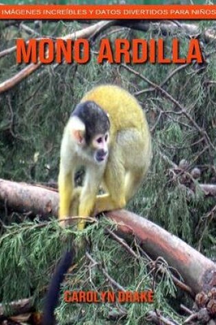 Cover of Mono ardilla