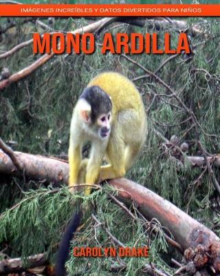 Book cover for Mono ardilla