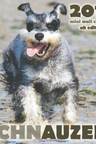 Cover of Schnauzer 2019 Mini Wall Calendar (UK Edition)