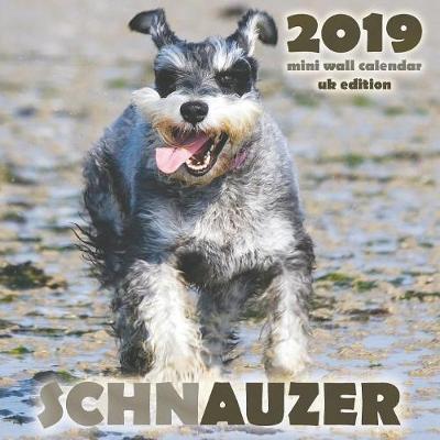 Book cover for Schnauzer 2019 Mini Wall Calendar (UK Edition)