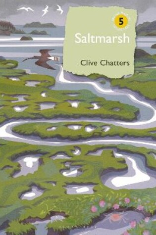 Cover of Saltmarsh