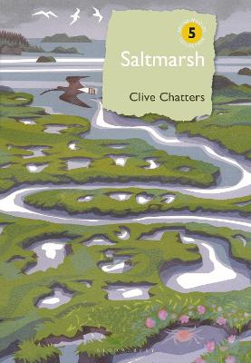 Book cover for Saltmarsh