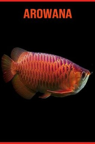 Cover of Arowana