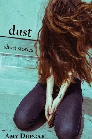 Cover of Dust