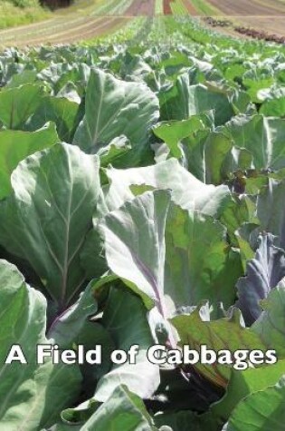 Cover of A Field of Cabbages