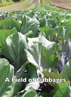 Book cover for A Field of Cabbages