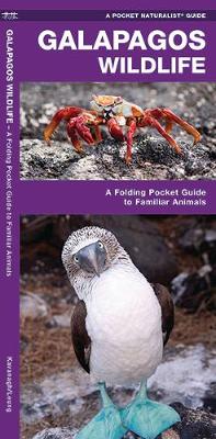 Book cover for Galapagos Wildlife