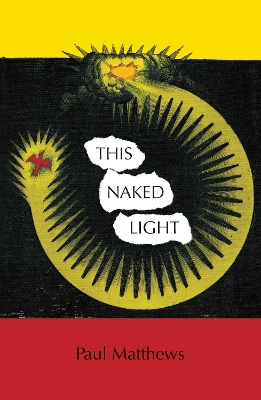 Book cover for This Naked Light