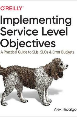 Cover of Implementing Service Level Objectives