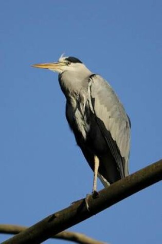 Cover of Ardea Cinerea Grey Heron, Birds of the World