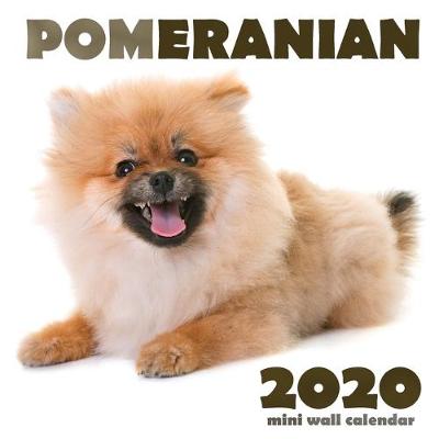 Book cover for Pomeranian 2020 Mini Wall Calendar