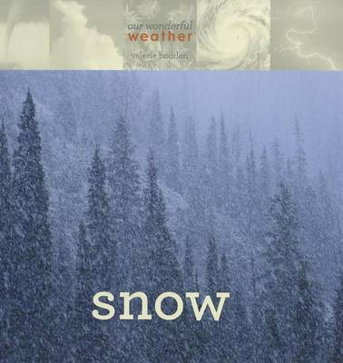 Cover of Snow