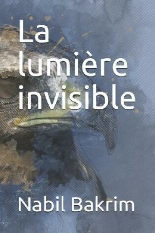 Cover of La lumiere invisible