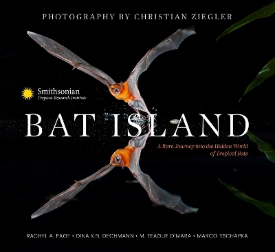 Cover of Bat Island