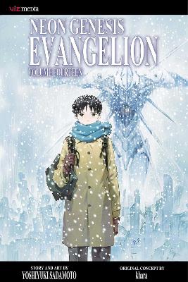 Book cover for Neon Genesis Evangelion, Vol. 14