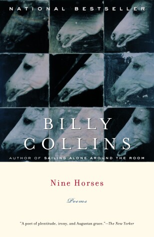 Book cover for Nine Horses