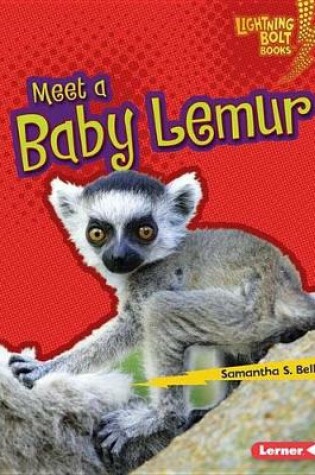 Cover of Meet a Baby Lemur