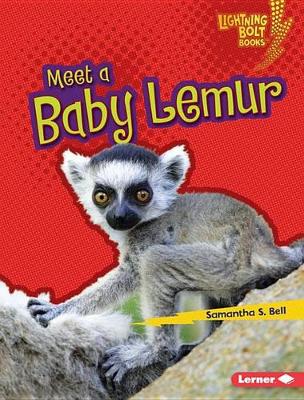 Cover of Meet a Baby Lemur