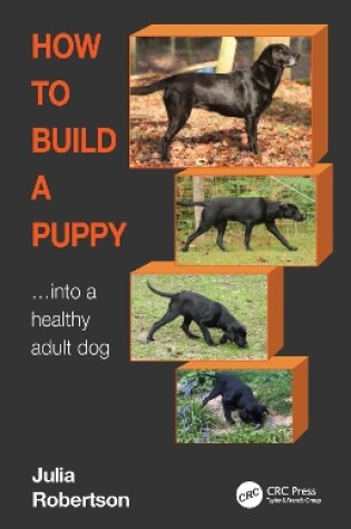 Cover of How to Build a Puppy