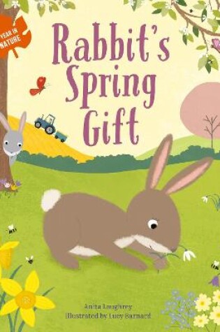 Cover of Rabbit's Spring Gift