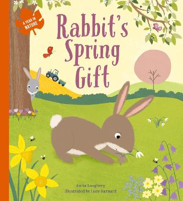 Book cover for Rabbit's Spring Gift