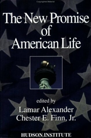 Cover of The New Promise of American Life